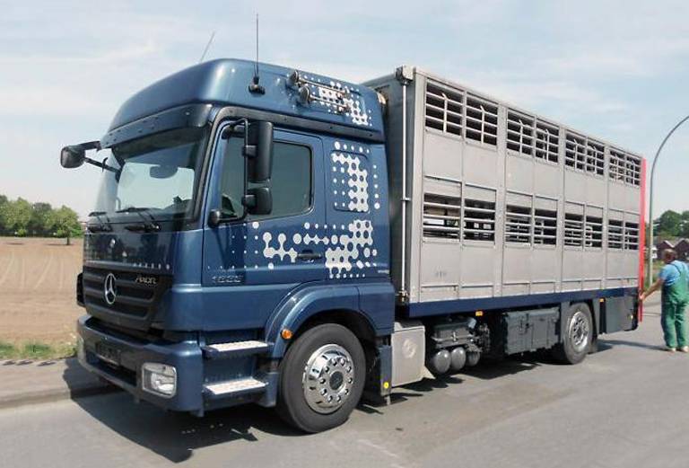 Нанять скотовоз для крупного рогатого скота из Челябинска в Астрахань