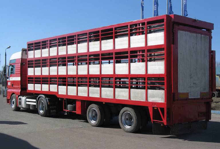 Прицеп для перевозки крупного рогатого скота из Большого Болдино в Хотьково